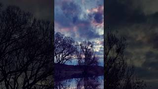 Calming Music and Nature Sounds for Peaceful Sleep, Mindfulness, and Anxiety Relief : Gentle Sunset