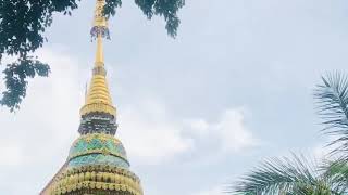 Wat Phanthong (Phanthong Temple) || The Old City, Chiangmai, Thailand || The Old City