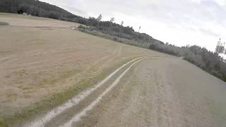 FPV ZMR250 Cobra 2208 with DAL6045 fail