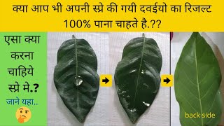 करे सिलिकोन चिपको का उपयोग स्प्रे मे । 100% रिजल्ट पाये । आसान खेती । silicon spreader | 4x result |