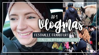 VLOGMAS #1 | FESTHALLE Frankfurt + Ausbeute | STALLTAG bei MadylovesCurd // A&G HorseDiary