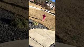 little girl after school running and trips over side walk