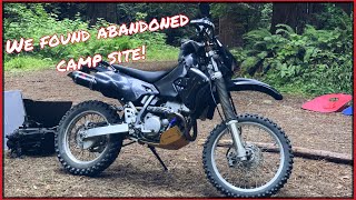 Exploring Abandoned Service Trails | Jackson Demonstration State Forest | DRZ400S