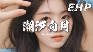 陳小滿 - 潮汐向月『看落日 看晨曦 看人來人去沒有你，念曾經 思來日 遺憾至今，愛情不殺人卻誅心。』【動態歌詞MV】