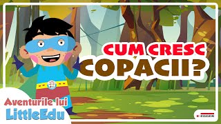 Cum cresc copacii? - Aventurile lui LittleEdu