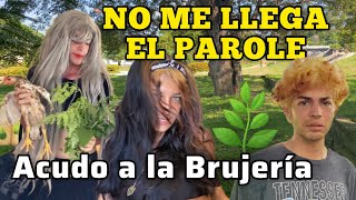 NO ME LLEGA EL PAROLE 😩. Acudo a la BRUJERÍA 🧙🌿. ( Martica )