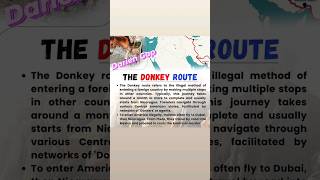 US Donkey Route Deaths. #shorts #shortsvideo #viral #usadonkey