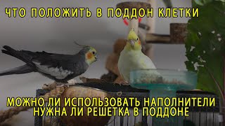 ЧТО ПОЛОЖИТЬ В ПОДДОН КЛЕТКИ | НУЖНА ЛИ РЕШЕТКА В ПОДДОНЕ | НАПОЛНИТЕЛИ ДЛЯ ПОПУГАЕВ