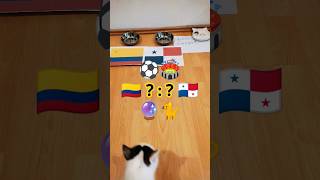 🇨🇴 Colombia vs Panama 🇵🇦 Cat Oracle predicts match result. Copa América 2024