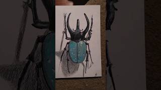 blue hercules Beetle #herculesbeatle #bluebeetle #art#drawing #ballpen #multipenart#shorts