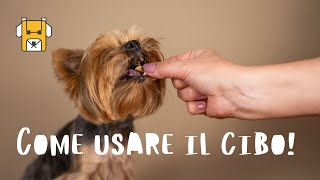 NON fare questo errore con il CIBO del CANE!