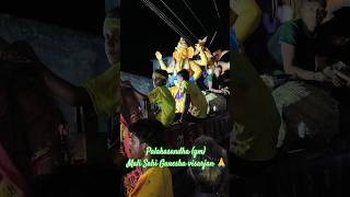 Palakasandha (gm) 2024 // Mali Sahi Ganesha Visarjan 🙏🙏 // Full Enjoy & Full Masti 🤟🥳