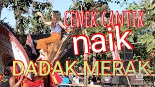 Cewek Cantik Naik Dadak Merak.