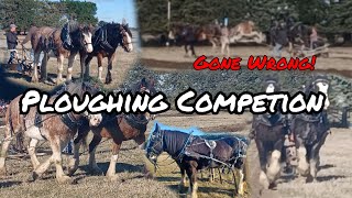 Ploughing Competion GONE WRONG | PLOUGHING AT LAWN MOWER RACING?? || AS Equestrian