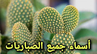 أسماء و صور أجمل و أندر أنواع الصبار