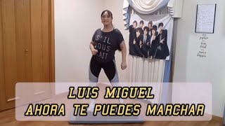 Luis miguel/ ahora te puedes marchar/zumbastep