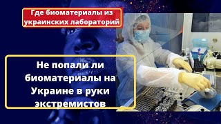 Нуланд признала наличие на Украине биолабораторий США