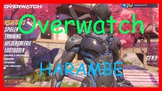 HARAMBE - Overwatch | DieKrille23