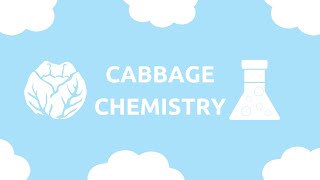 Kitchen Science: Cabbage Chemistry