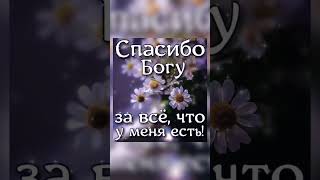 Сегодня я ничего не хочу просить у Бога,а просто хочу сказать ему СПАСИБО 🙏🕊️♥️