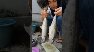 cara mudah pisahkan daging ikan tenggiri #youtubeshorts #zafira #asmr