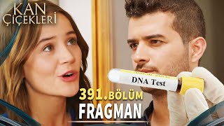 Kan Çiçekleri 391. Bölüm Fragmanı «Çınar Meğer Senin Oğlunmuş Dilan» Vendetta Episode 391 Promo