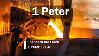 Shepherd the Flock (1 Peter 5:1-4)