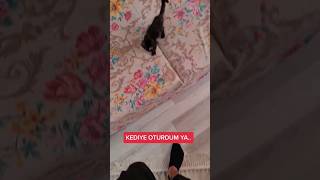 Kedinin Üstüne Oturdum #shorts