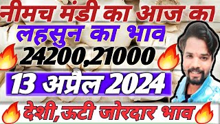 नीमच मंडी भाव। आज का 13 अप्रैल 2024 का लहसुन का भाव। Neemuch mandi today Lahsun bhav