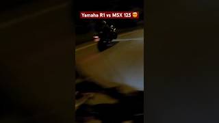 Yamaha R1 vs MSX 125 🫢 #shorts #dragrace #yamahar1 #yamaha #honda #moto #motard