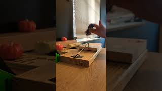 Homemade wooden fingerboard obstacle