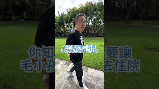 毛小孩比真小孩還多