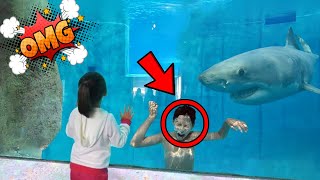 Her Brother Got Stuck in a Shark Tank...BIG MISTAKE 🦈