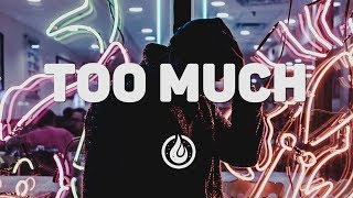 Nitti Gritti - Too Much [Lyrics Video] ♪