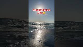 Lake Michigan😲 #lakemichigan #beach #shortvideo #shorts #shortsviral #shortsfeed #shortsvideo #fyp