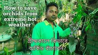 গ্রীষ্মের তীব্র দাবদাহ থেকে অর্কিড কে কিভাবে বাঁচবেন?Save Orchids from summer heat@SandipOrchid