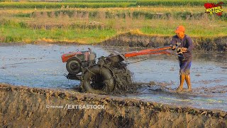 Habis Diservice Traktor Sawah Langsung Dicoba Buat Garap Lahan