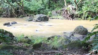 Waimea Valley