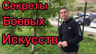 У боевых искусств есть секреты