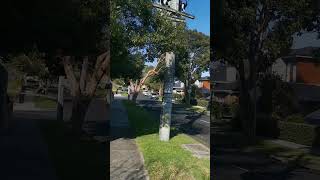 Suburban Trail Run 02 at winter-end VIC Australia #shorts #TrailRun #urbanlandscape #drain #listen