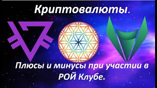 Криптовалюты.Плюсы и минусы при участии в РОЙ Клубе.