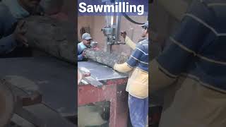 Hard working Men in #india #cutting #amazing #short #ytshorts #sawmill #viral #trending #crazy