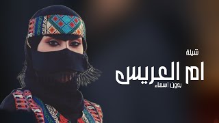 شيلة ام العريس بدون اسماء مجانيه بدون حقوق 2024 رشوا الريحان جتكم ام العريس رقص مميز