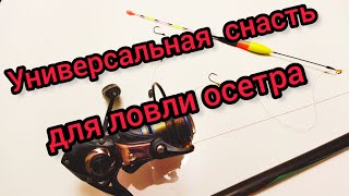 Универсальная поплавочная снасть для ловли осетра летом.