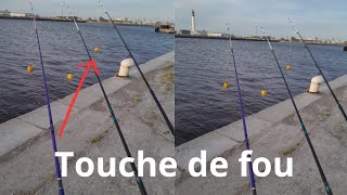 pêche en bassin Dunkerque  ( partie 3 )