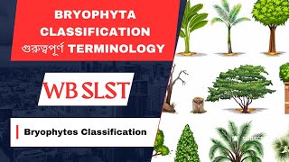 Division Bryophyta part#3// Classification & Important structure// Elaters,Annulus, Capsule