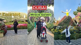 Miracle Garden Dubai | World's Largest Natural Flower Garden 🇦🇪 #dubaimiraclegarden #dubai #blog