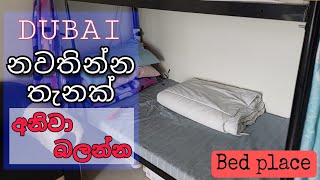 ඩුබායි ඇවිල්ල නවතින තැනක්.bed place 🇦🇪Dubai is a stopover place.bed place 🇦🇪