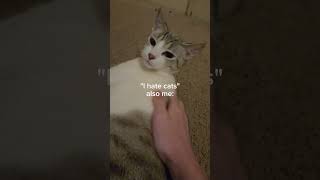 It's a love/hate relationship. #cat #shortsfeed #funny #kitty #feed #subscribe #pets