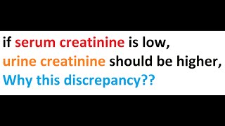 if serum creatinine is low, urine creatinine should be higher, Why this discrepancy